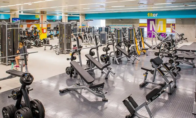 Fiter gimnasio