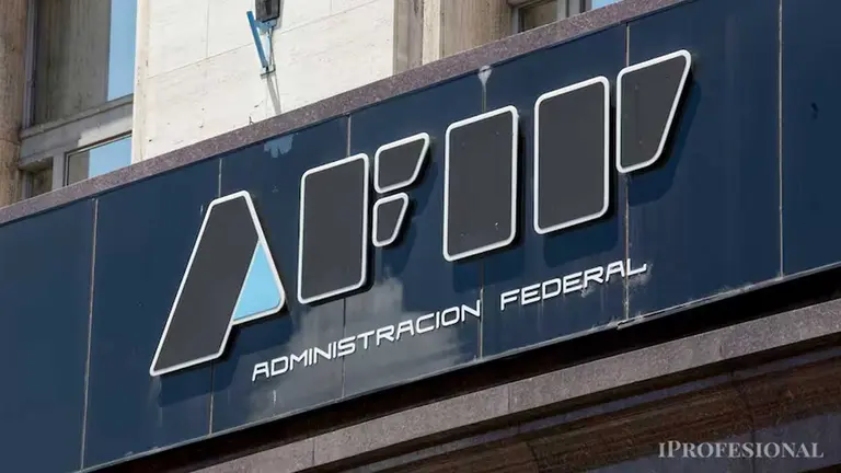 Quién creó la AFIP y en qué año