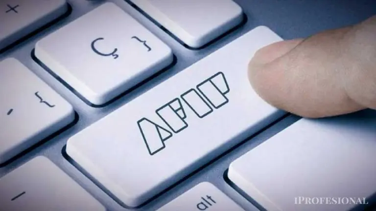 Empleados de AFIP harán un "apagón informático" que afectará los trámites