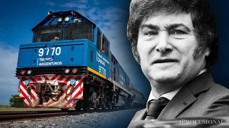 El Gobierno busca privatizar trenes de cargas