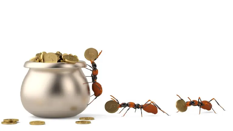 Un experto recomienda recortar compras innecesarias para conseguir ahorrar hasta $3 millones