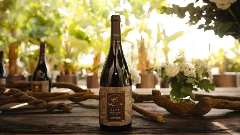 Un vino que tenés que probar: así es la nueva etiqueta que La Celia sumó a su línea Elite