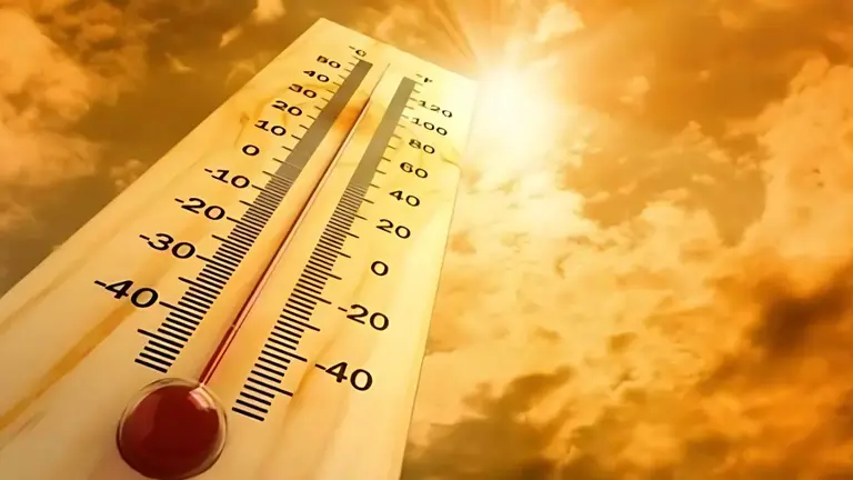 Revelan que este año será el más caluroso jamás registrado en toda la historia