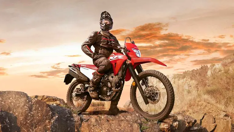 Moto Honda Tornado XR300L