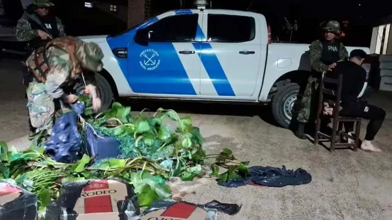 VIDEO |  Se disfrazó de camalote para contrabandear 200 paquetes de cigarrillos