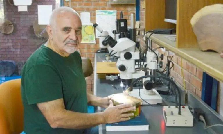 Un científico argentino fue distinguido por sus estudios de los árboles y la madera