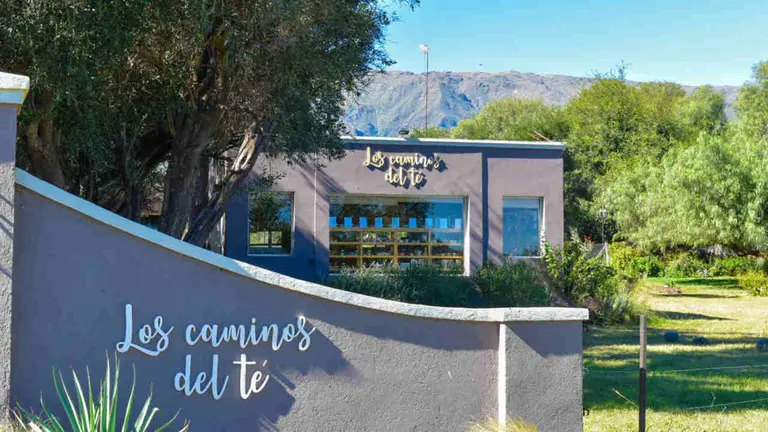 Los caminos del té comenzaron a comercializar franquicias