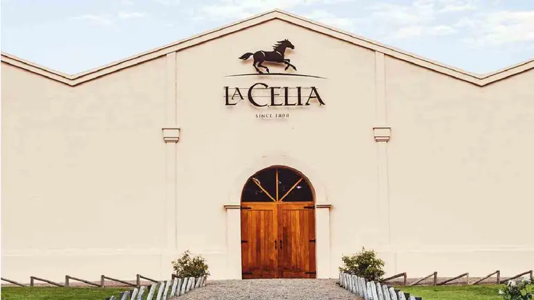 Qué vinos icónicos probar de la bodega pionera del Valle de Uco