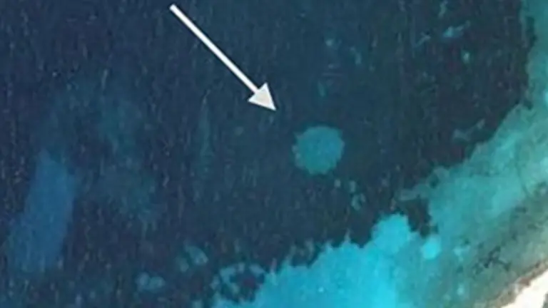 Encontraron 1300 círculos con forma de "huevo frito" en el fondo del mar, ¿a qué corresponden?