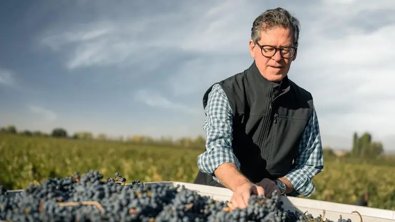 empleo en la vendimia 2026