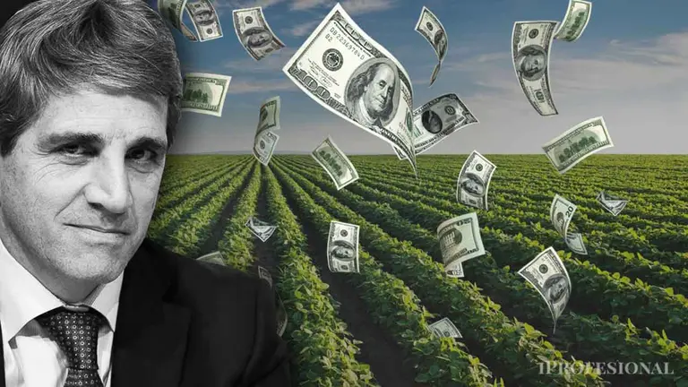 Decisivo para el dólar: pueden entrar más de u$s13.000 millones tras baja de retenciones