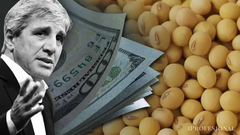 Se desploma la soja y achica el margen del campo argentino, que vuelve a presionar por retenciones