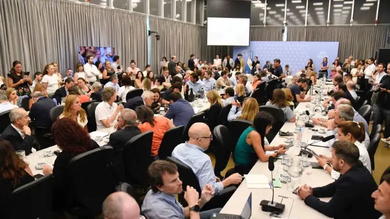 Debate en Diputados por la suspensión de las PASO