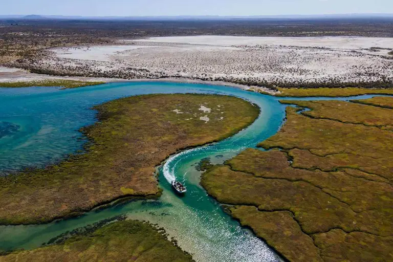 La "Galápagos" de Argentina: dónde queda este paraíso natural oculto de la Patagonia