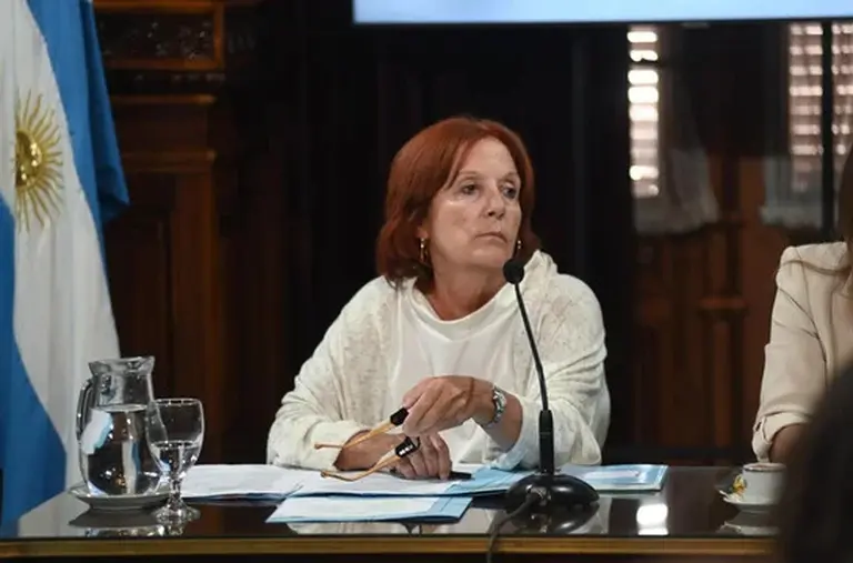 El Senado debatirá el proyecto de Ficha Limpia en comisión, pero en sesiones ordinarias