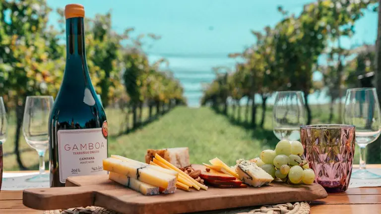 5 mejores ESCAPADAS a pocos kilómetros de Buenos Aires para comer y pasear