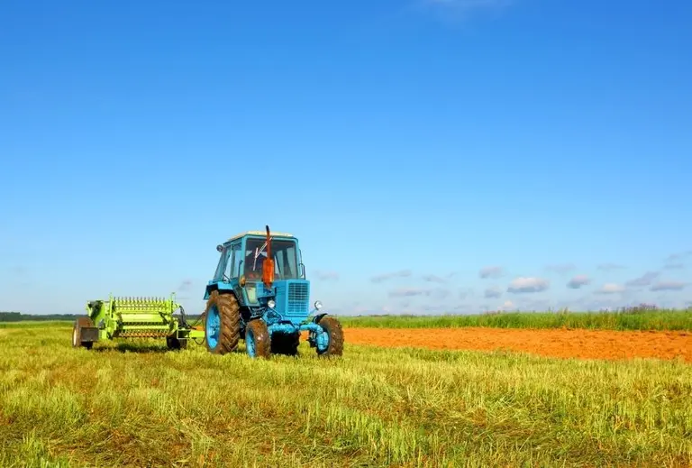 El campo liquidó un 84% menos dólares en octubre luego de la quita temporal de retenciones