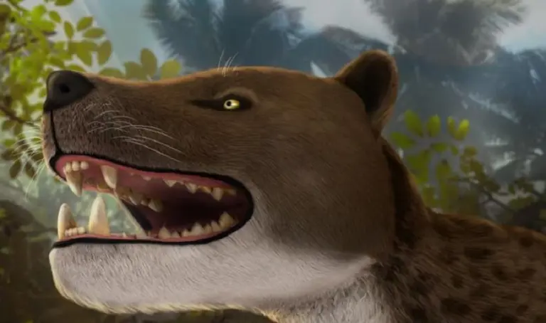 Egipto: hallan el cráneo de un depredador que dominó África hace 30 millones de años que redefine la Prehistoria