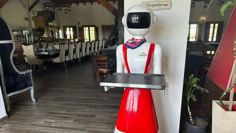 ¿Cómo un robot de China llegó a trabajar en un hotel de Córdoba?