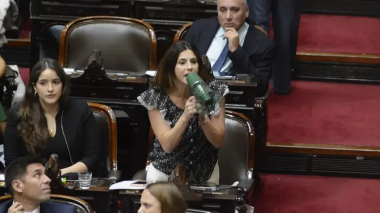 VIDEO | Pagano sacó un megáfono y cruzó a Martín Menem: "Interrumpir a un orador es de fascista"