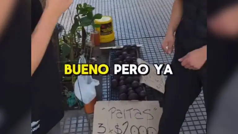 Contó cuánto hace por día vendiendo paltas y cuánto le queda de eso y despertó la polémica