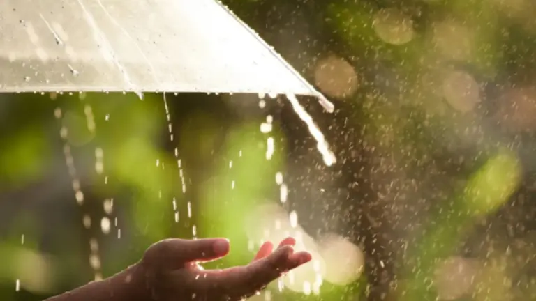 El fenómeno ambiental que preocupa a los científicos y es un riesgo para la salud