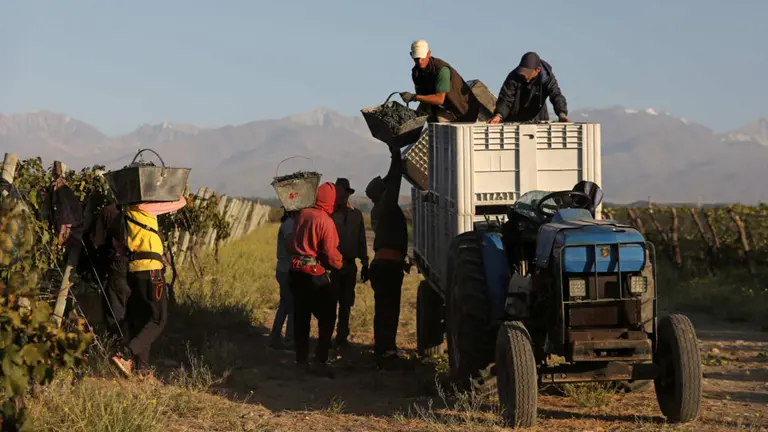 SE PRESENTÓ LA PRIMERA CALCULADORA DE GASES DE EFECTO INVERNADERO PARA BODEGAS DE ARGENTINA Y CHILE