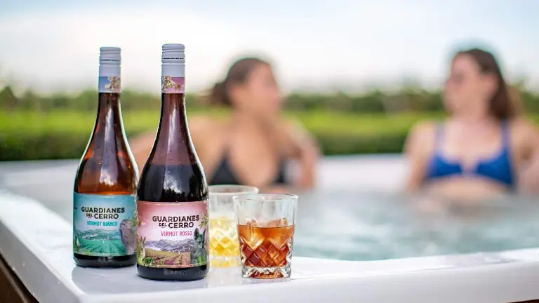 Cómo son y cuánto cuestan dos de los mejores vermuts de la Argentina