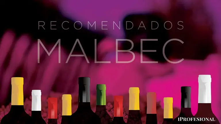 Vinos Malbec buenos y baratos desde 3500 pesos: cuáles probar