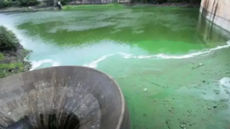La Justicia intimó a Córdoba para sanear el Lago San Roque en un determinado plazo