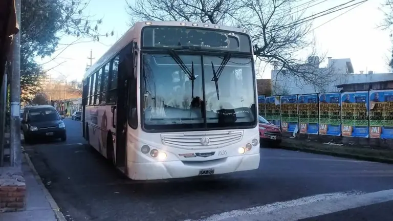 Línea 228, de la sorpresiva suspensión del servicio al regreso con frecuencia polémica