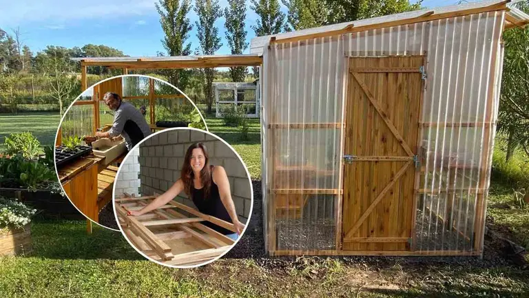 Son argentinos y crearon un negocio que no para de crecer: invernaderos modulares eco-friendly, ¿cuánto salen?