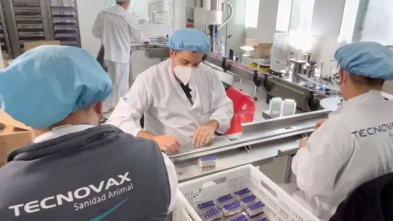 Tecnovax importará vacunas antiaftosa desde Brasil, tras las medidas del Gobierno