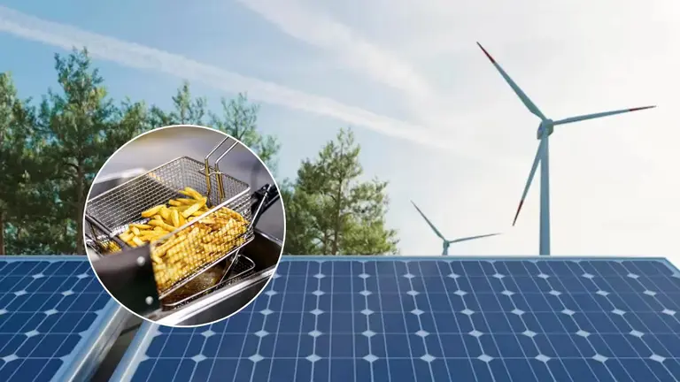 La principal comercializadora de energía renovable local sale a exportar aceite "made in fast food"