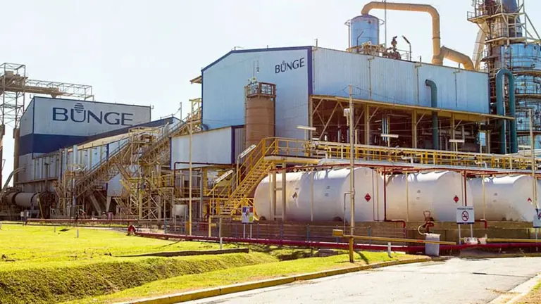 Se confirma la mega fusión entre Bunge y Viterra: por qué puede cambiar el negocio global de granos