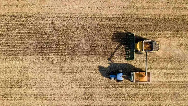 Cosecha récord: Argentina proyecta 140 millones de toneladas y u$s32.000 millones en 2026