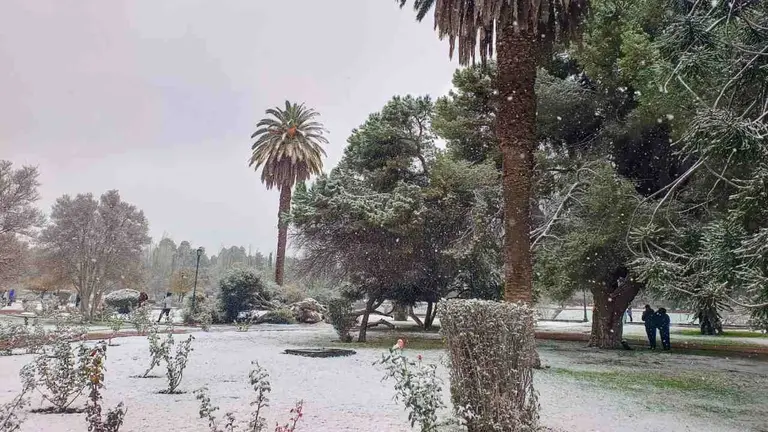 Lunes bajo cero: el ranking de ciudades más frías de Argentina en medio de la ola polar