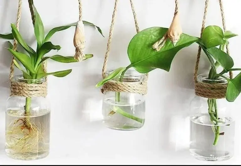 Si guardás frascos de vidrio, tenés un tesoro: 7 ideas creativas para reciclar y darles una segunda vida