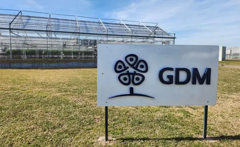 GDM, el semillero argentino que desafía la crisis y ya controla casi la mitad de la genética de soja del mundo