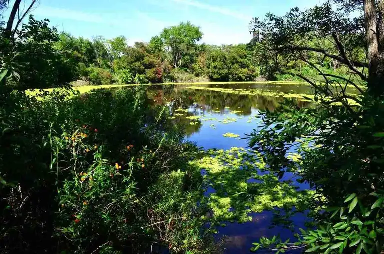 El destino ideal para disfrutar de la naturaleza en vacaciones de invierno a 15 km de CABA