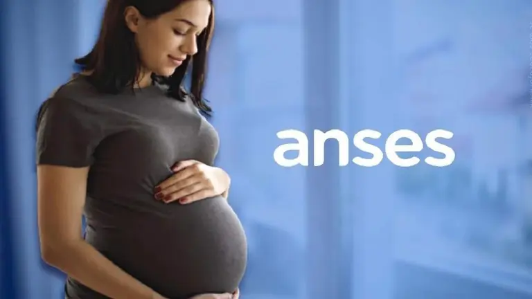La manera más ágil y fácil de tramitar la asignación prenatal de anses en 2025 