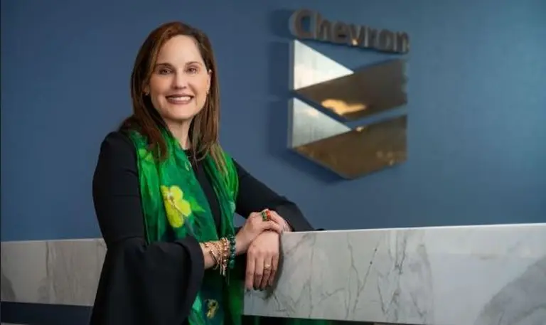 Chevron - Ana Simonato