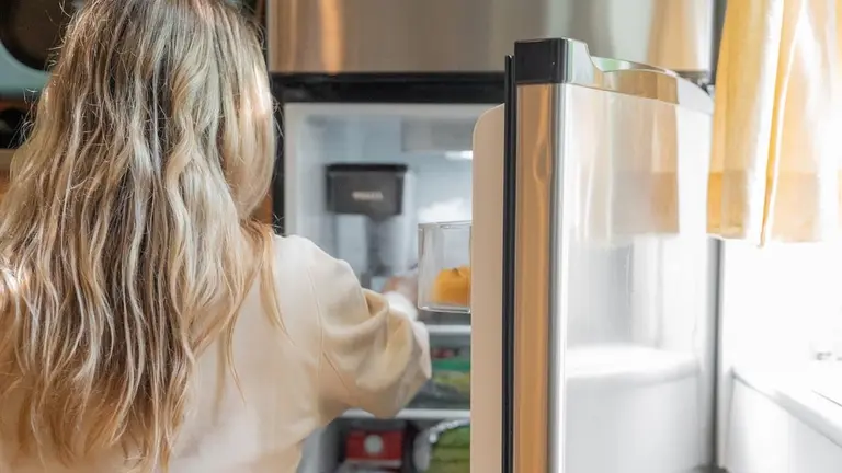 Plan canje de electrodomésticos: cómo podés renovar tu heladera pagando menos