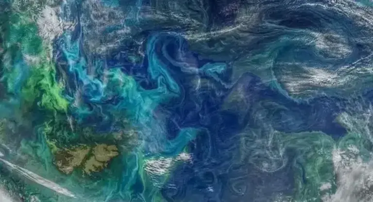 El hallazgo en las Islas Malvinas que podría reescribir la historia de la Tierra