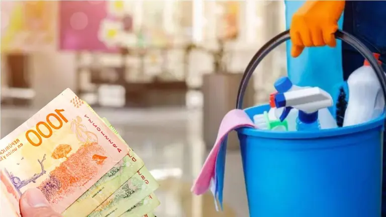 Sueldo de empleada doméstica