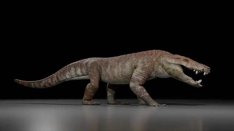 Descubren en la Patagonia un cocodrilo que compartió su hábitat con los últimos dinosaurios