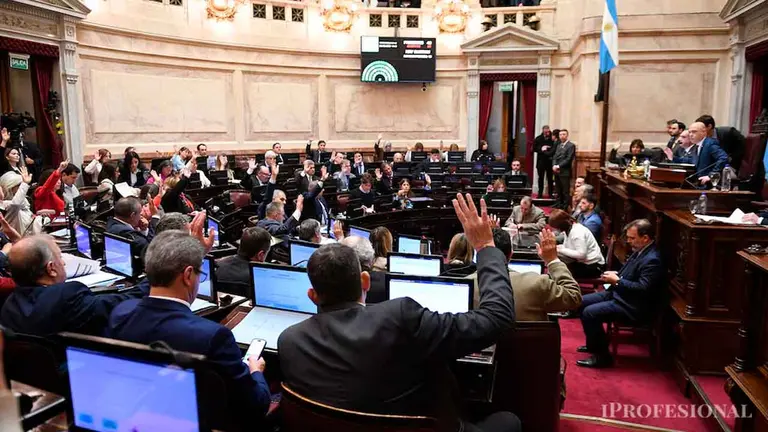 Senado debate ley de emergencia en discapacidad