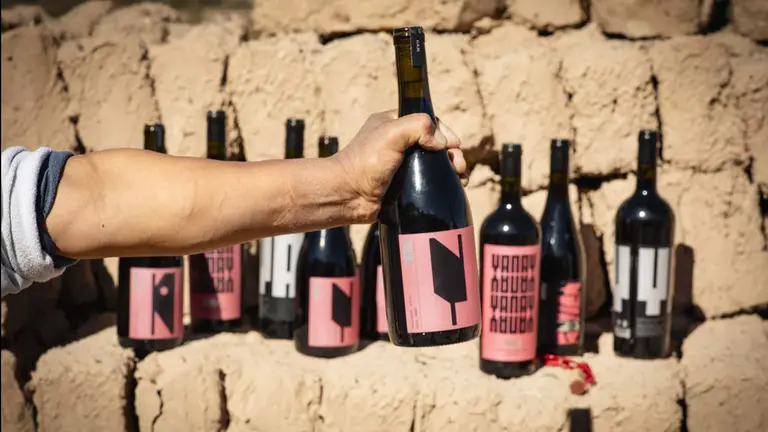Vinos de Jujuy: cómo es el inédito proyecto que nace en la Quebrada de Humahuaca