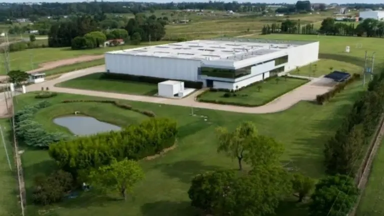 Importante empresa abandona Uruguay para producir en Argentina