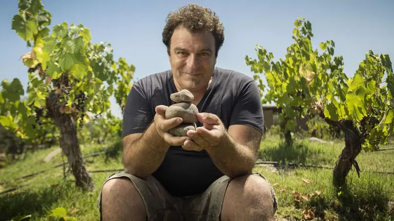 El "Messi del vino argentino" rompe récords: logra calificación máxima con un Malbec y un Cabernet Franc